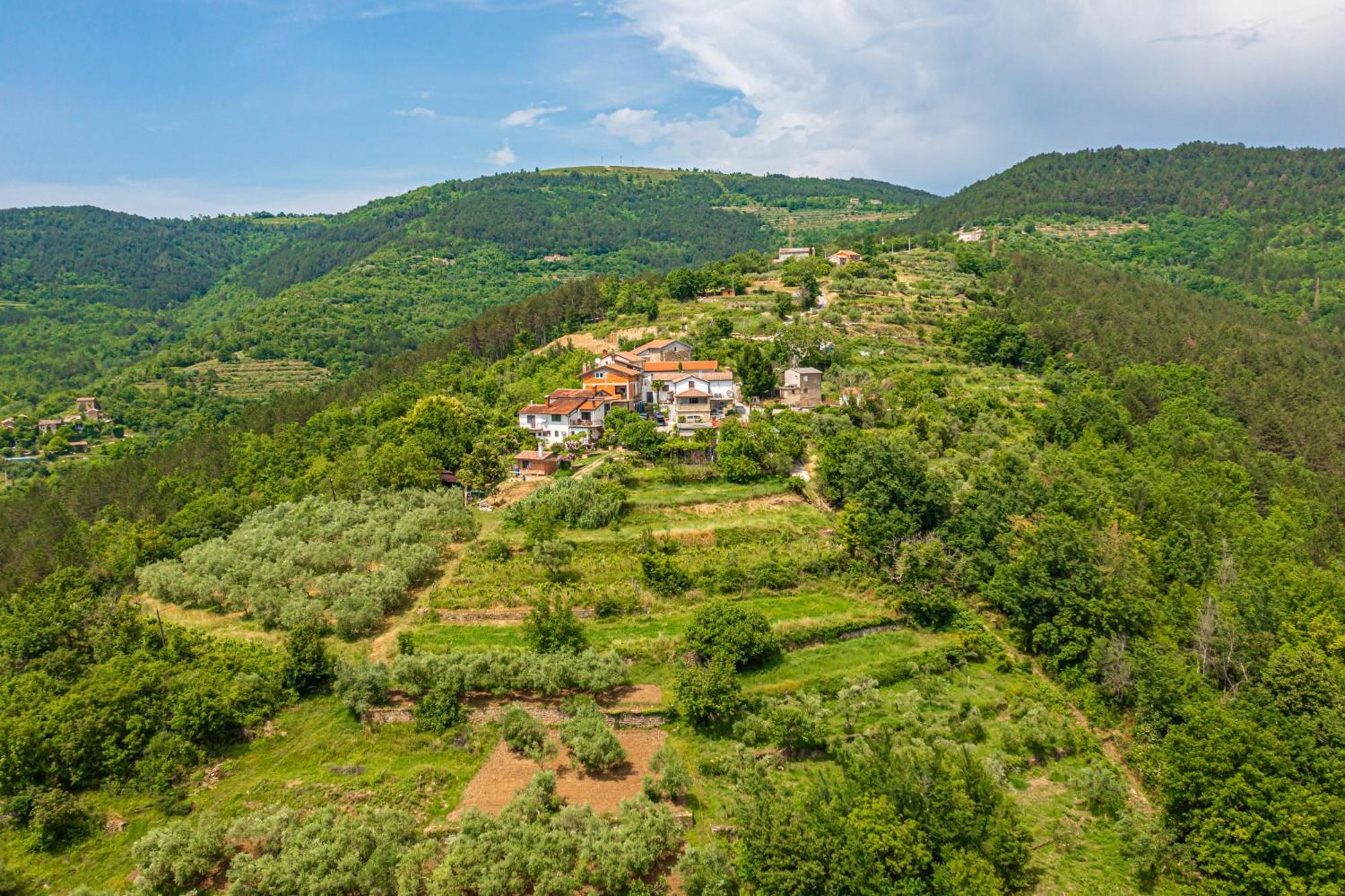 Holiday Home Belveder Motovun Livade Exterior foto