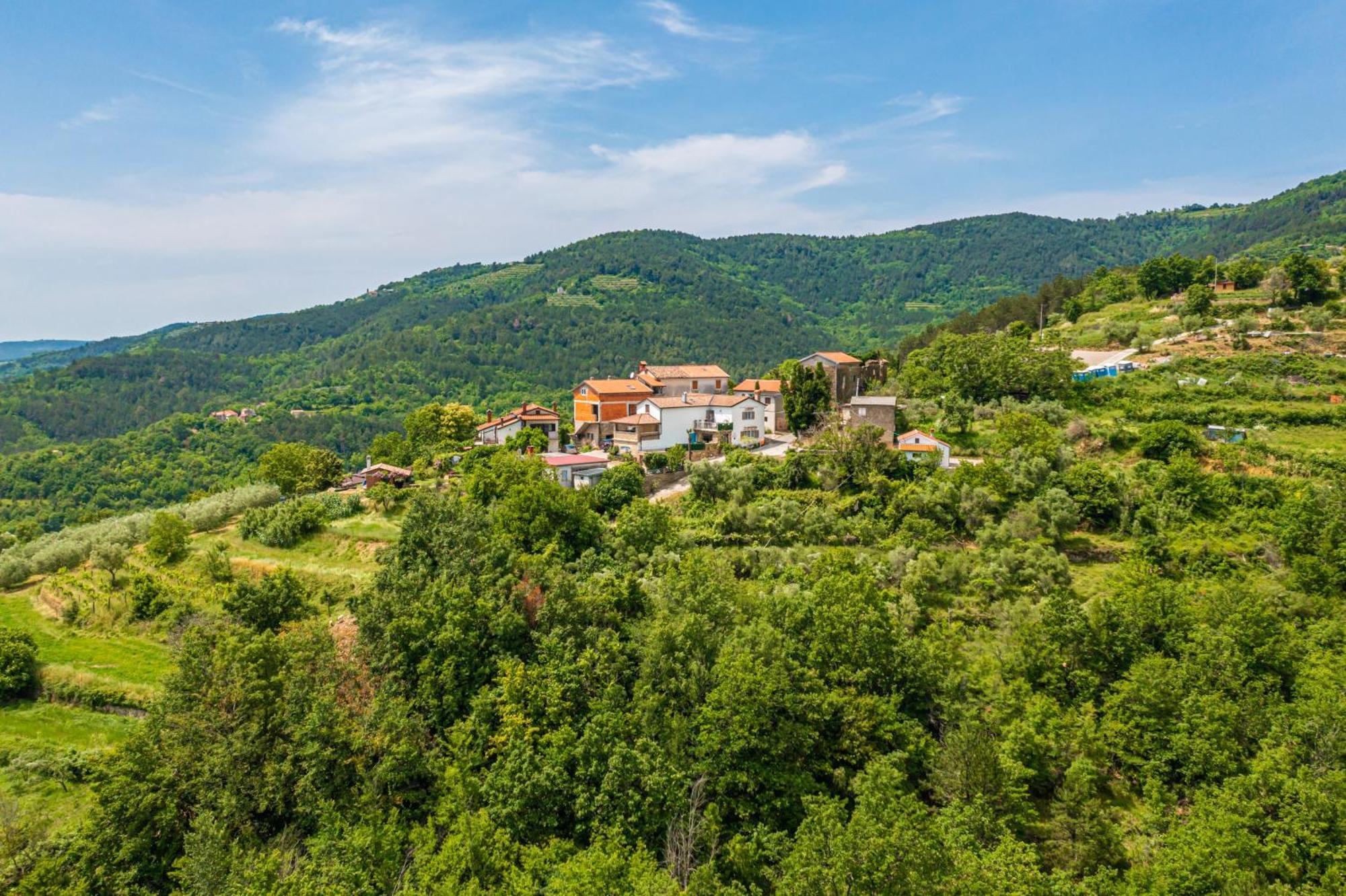 Holiday Home Belveder Motovun Livade Exterior foto