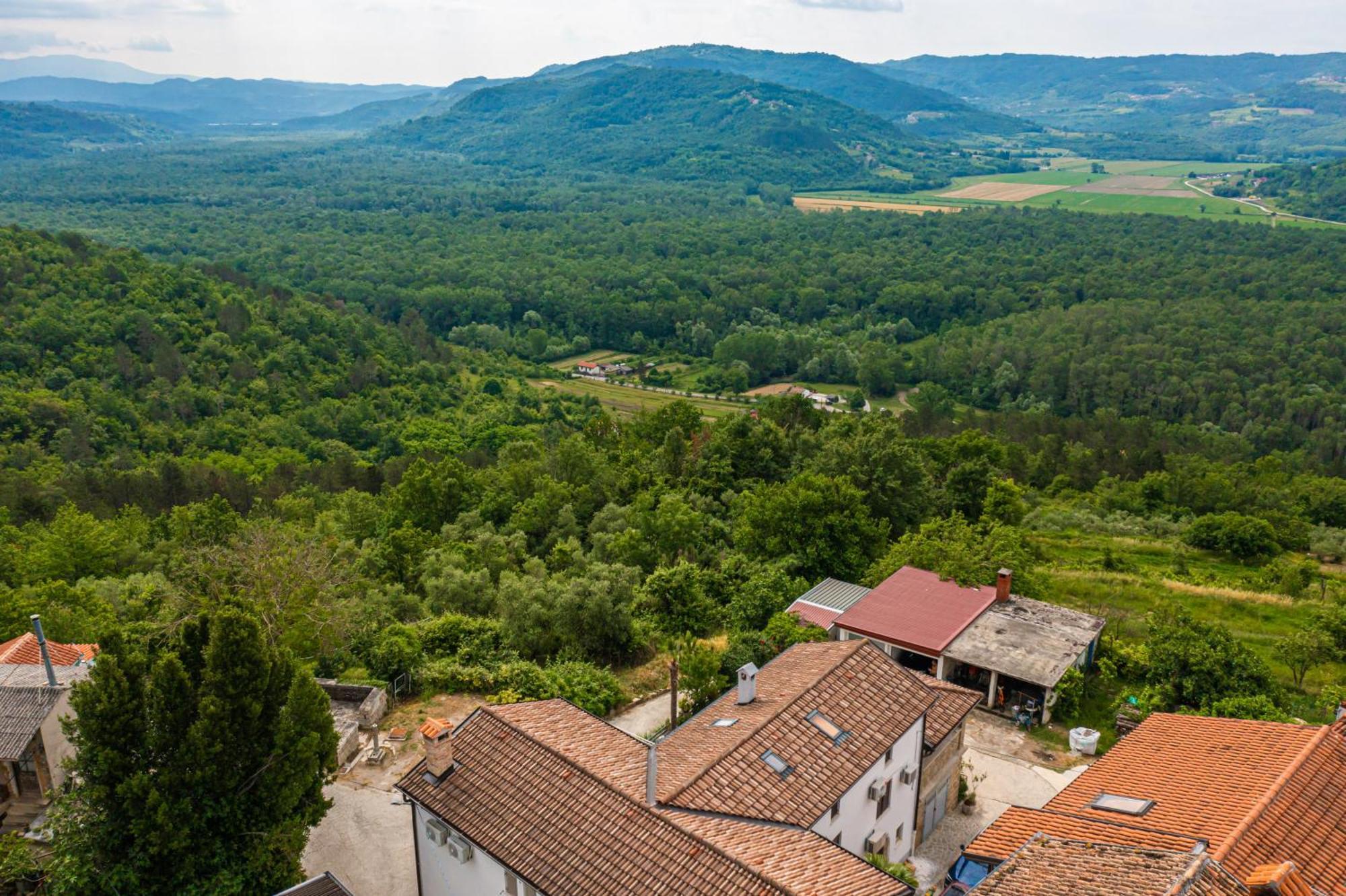 Holiday Home Belveder Motovun Livade Exterior foto